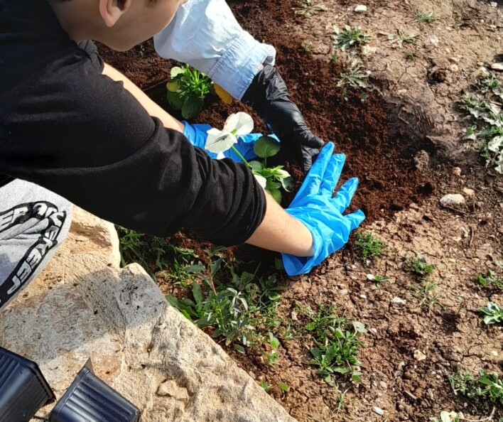 יום שתילה לט"ו בשבט בבתי הספר