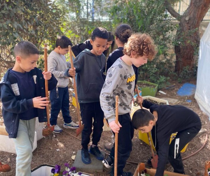 יום שתילה לט"ו בשבט בבתי הספר