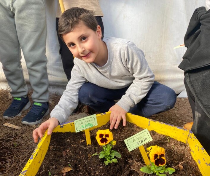 יום שתילה לט"ו בשבט בבתי הספר