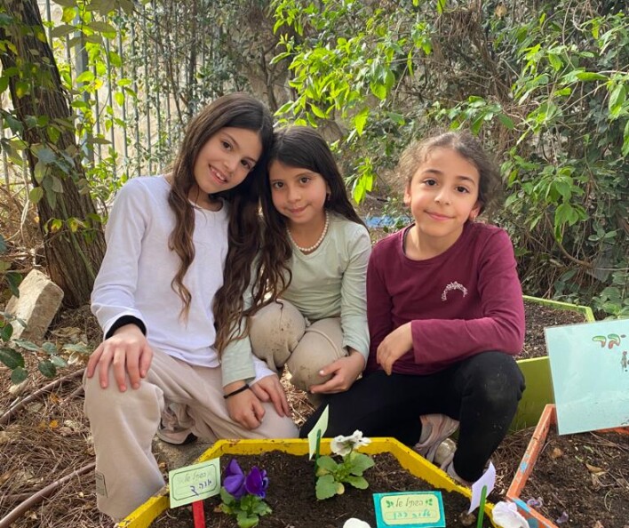 יום שתילה לט"ו בשבט בבתי הספר