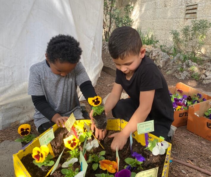 יום שתילה לט"ו בשבט בבתי הספר