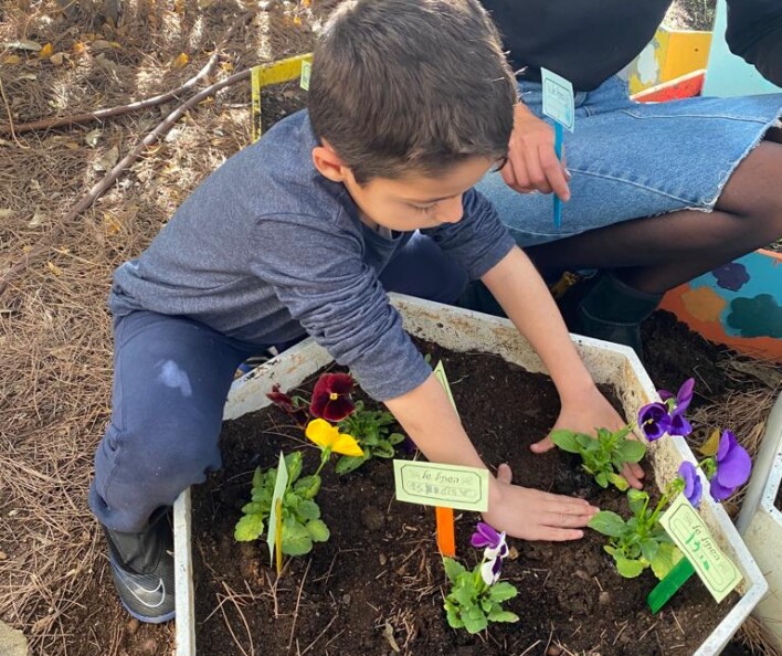 יום שתילה לט"ו בשבט בבתי הספר