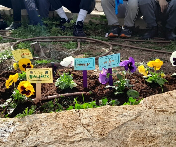 יום שתילה לט"ו בשבט בבתי הספר