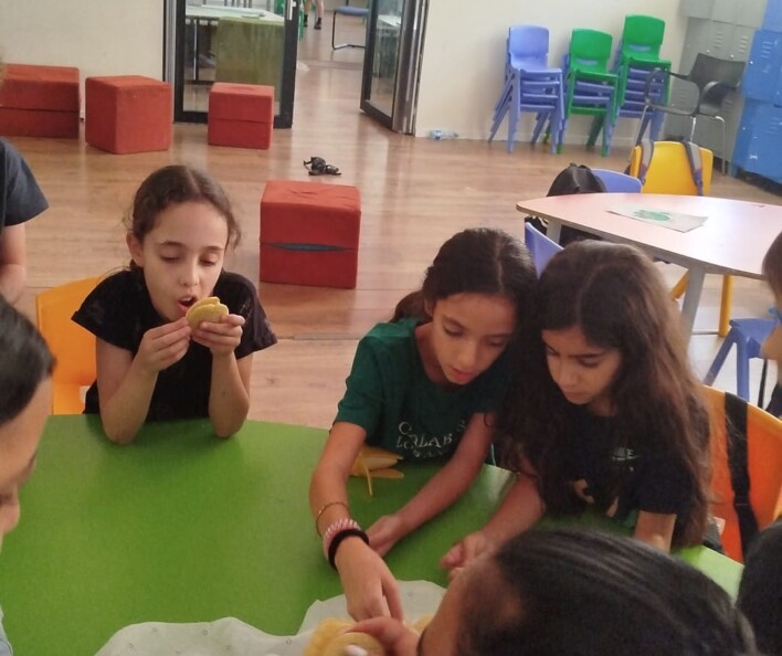 בית הספר והגנים של החופש הגדול 2024